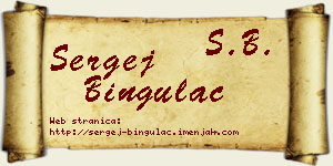 Sergej Bingulac vizit kartica